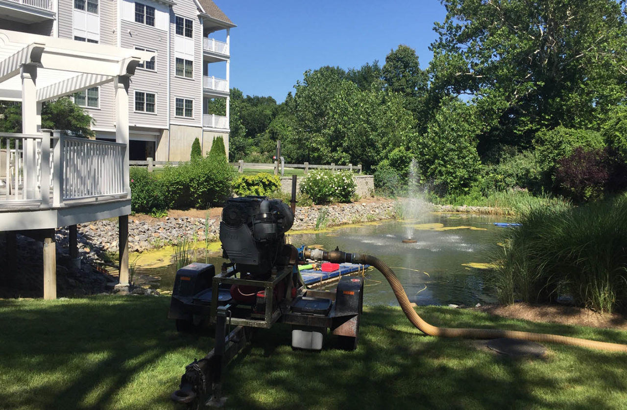 About Pristine Waters LLC